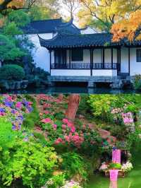 江蘇——藏在詩裡、畫裡、煙火裡的東方秘境