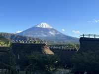 一日飽覽富士山：河口湖・忍野八海・根場村完整行程建議
