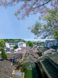 嚟紹興，跟住魯迅足跡避暑，親子遊新玩法