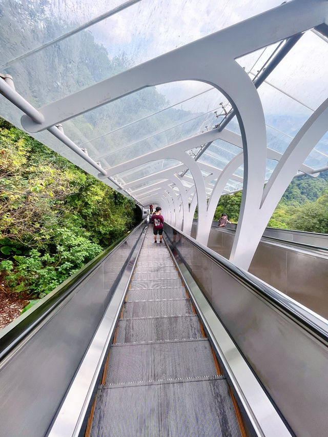 廣州登山必去摩星嶺綠肺徒步攻略