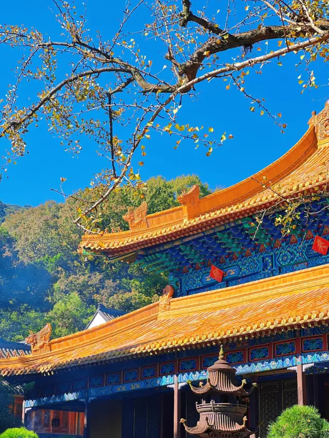 ภูเขาผู่ถัวซาน—ทริปแสวงบุญสายพุทธ