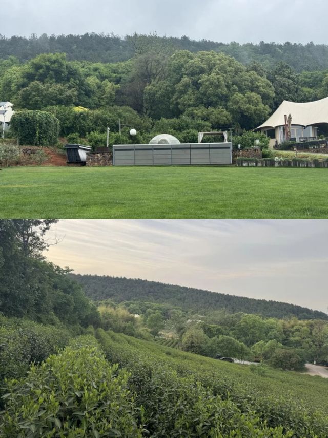 夏日避暑天花板 住進森林帳篷睇星星