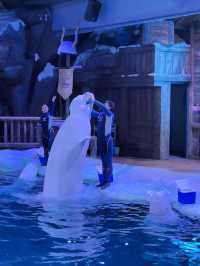 28℃避暑天堂！舟山長喬海洋館2日1夜全攻略