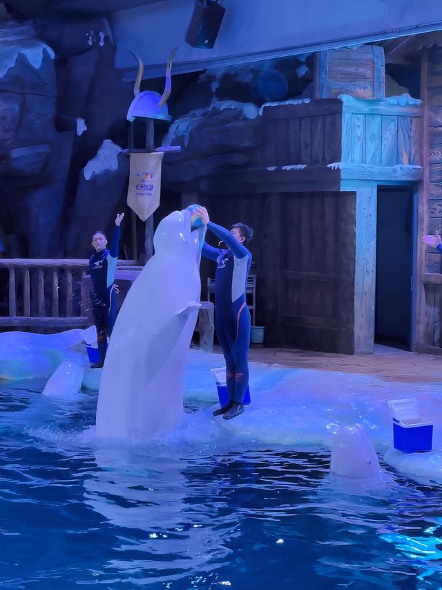 28℃避暑天堂！舟山長喬海洋館2日1夜全攻略