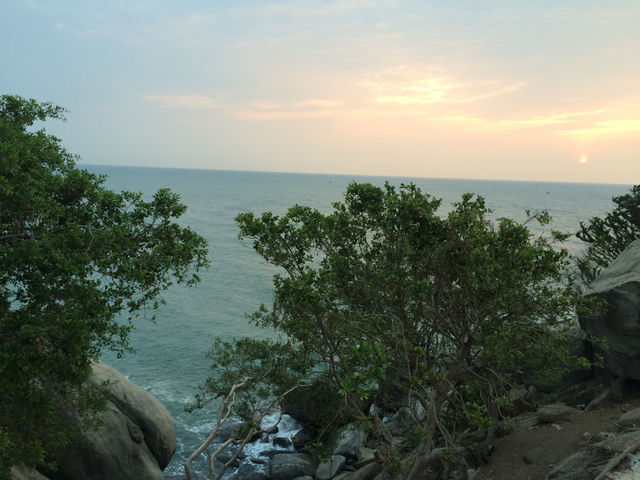 ถิ่นมีหอย🌊