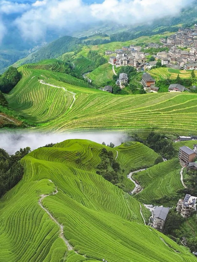 桂林龍脊梯田攻略 | 闖入油畫裡的世外桃源