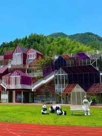 江浙滬媽咪快收藏！千島湖2日1夜神仙親子遊