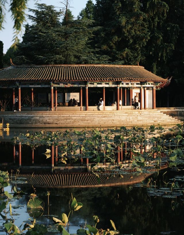 昆明大觀樓｜公園20分鐘效應真係超治癒