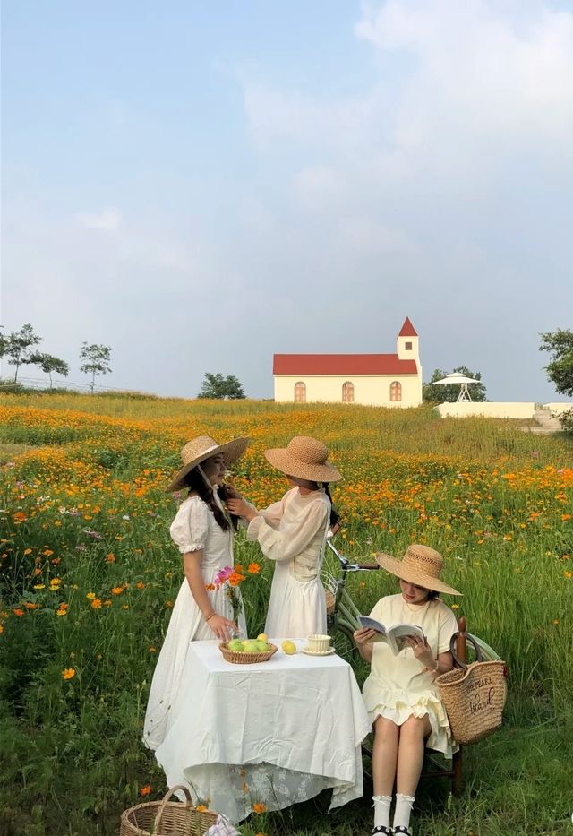 廈門田園風，住呢度太正啦