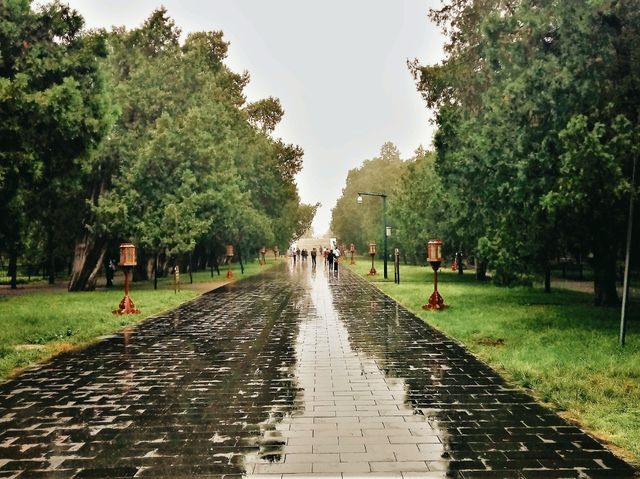 Exploring Chaoyang District's Parks: A Green Oasis in Beijing
