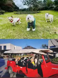 桃花島秘境，私享溫泉仙境！