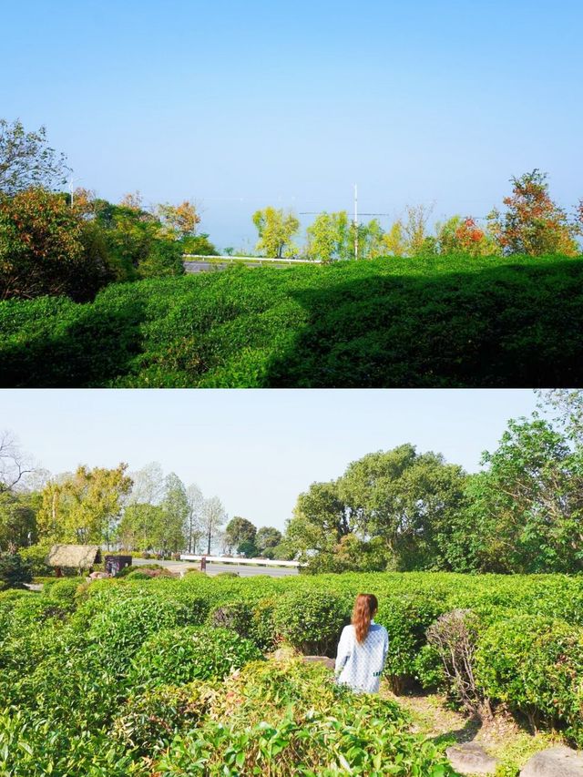 蘇州太湖裸新隱鄉，親子夏日玩水嘅超正之選