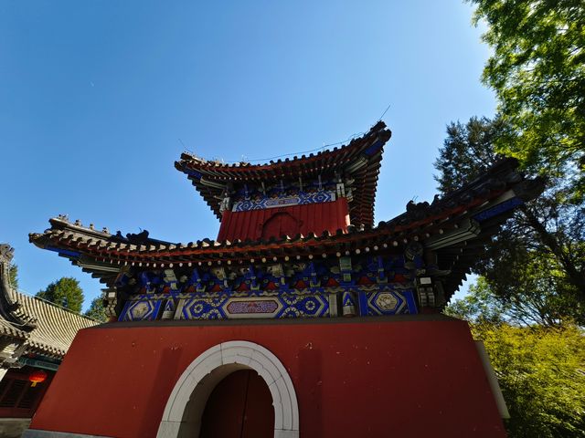 20250503 石上光陰，紙間佛影