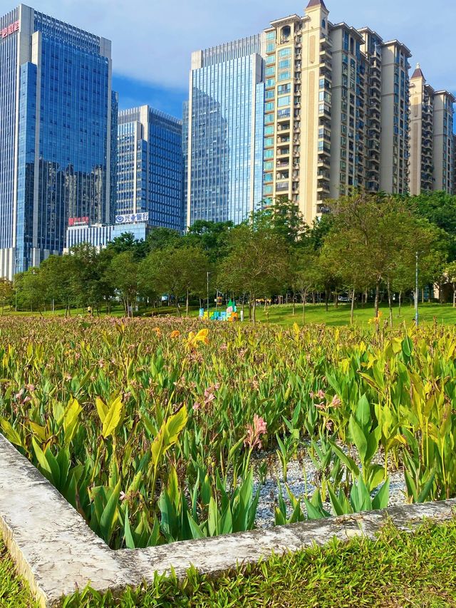 南寧夏日限定｜誤入莫奈花園