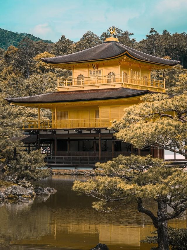 看過一次金閣寺，還想再看一萬次！