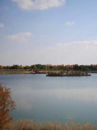 In the deep blue of the lake, I see the gentle wildness.