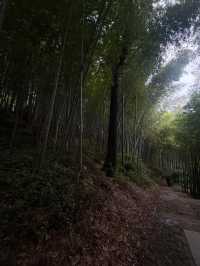 杭州九溪徒步｜喺小溪同茶園治癒系吸氧