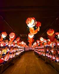 青森屋金魚燈籠夢幻走廊