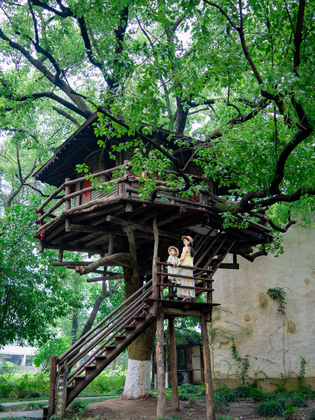呢個夏天帶小朋友嚟烏鎮點玩，睇呢篇就夠晒