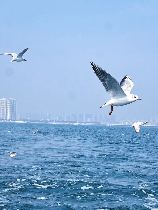 暑假新地標！漁田七里海度假區全攻略，一站玩轉海陸空