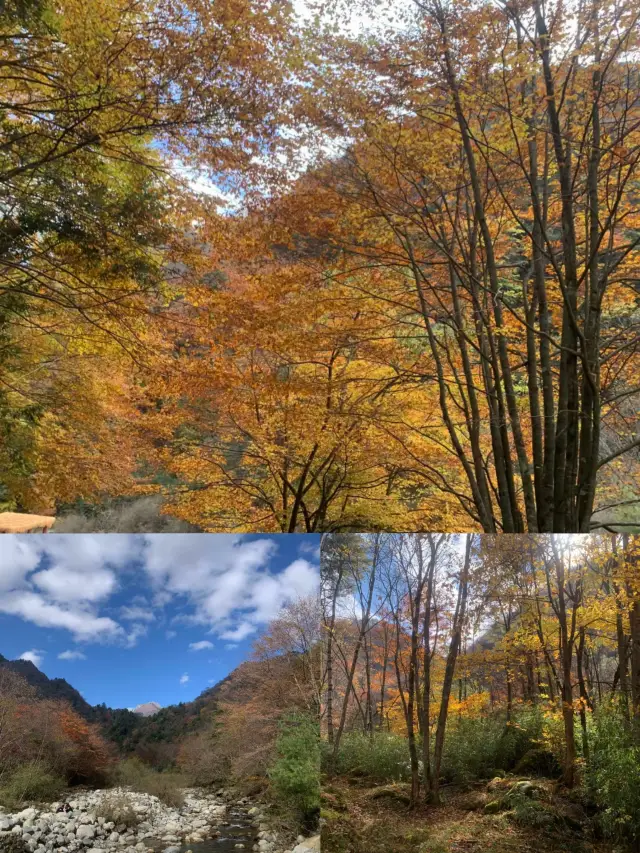 唐家河遊玩寶典：清涼、野趣、親子遊一網打盡！