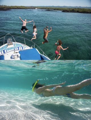 潛水員的夢想，加拉帕戈斯島住宿