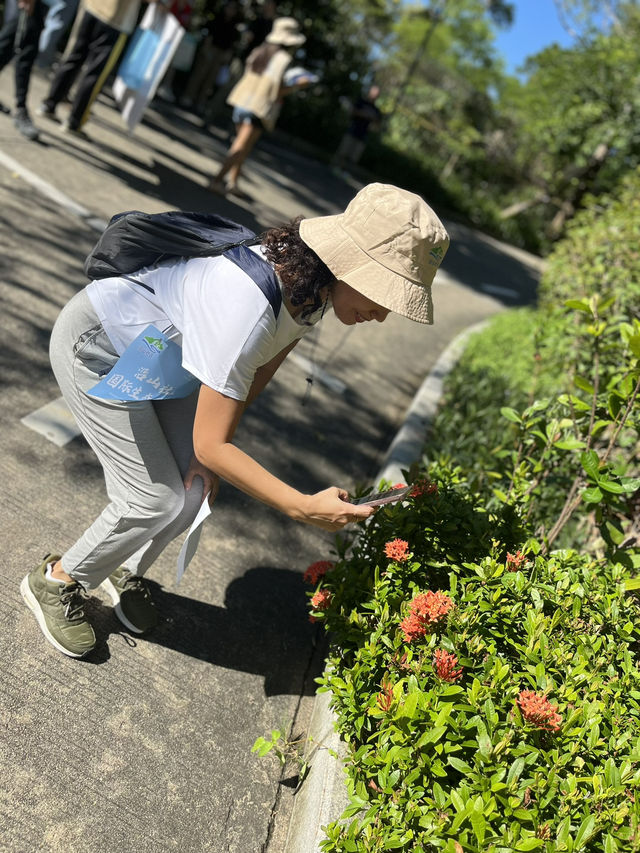Weekend Vibes at Nanshan Park