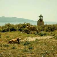✨Sarandë & Butrint: Albanian Riviera Meets Ancient Wonders 🏖️🏛️