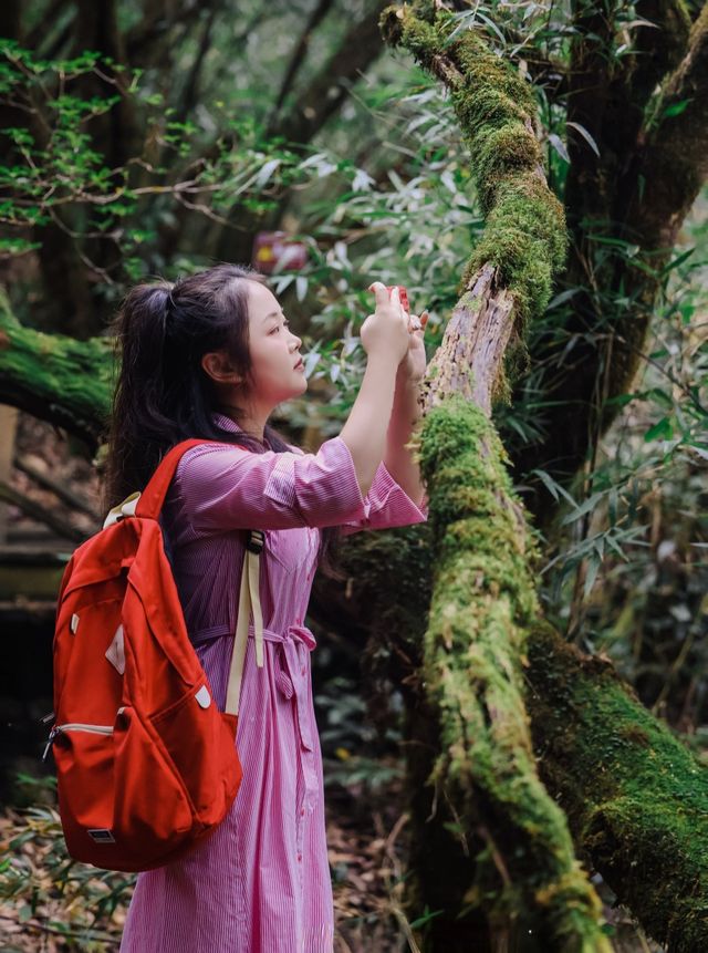 在貓兒山，解鎖「華南之巔」的N種寶藏玩法