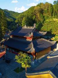 杭州1h我找到了現實版的飛屋環遊記