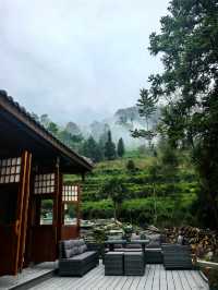 敘蘭雲見赴一場雲霧與禪茶的邀約