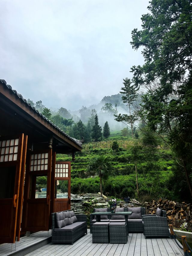 敘蘭雲見赴一場雲霧與禪茶的邀約