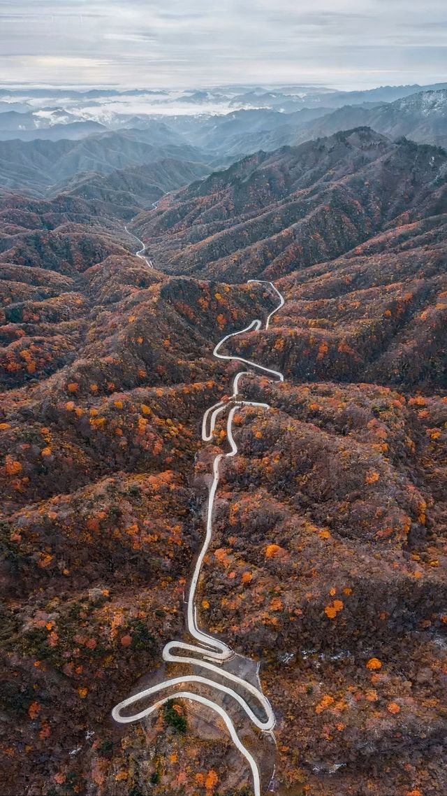 秦嶺之秋的 天花板 秦嶺之秋的 天花板