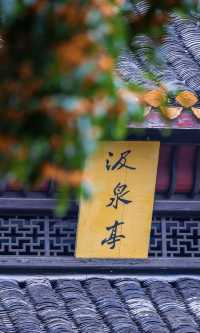 漫步湖大，邂逅金桂之美