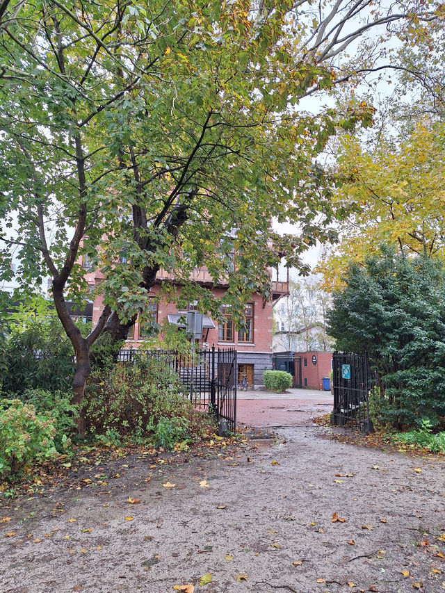 The Beauty of Vondelpark in Amsterdam