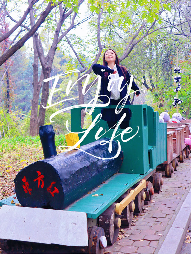 地鐵直達瀋陽植物園!撿秋走起! 地鐵直達瀋陽植物園!撿秋走起!