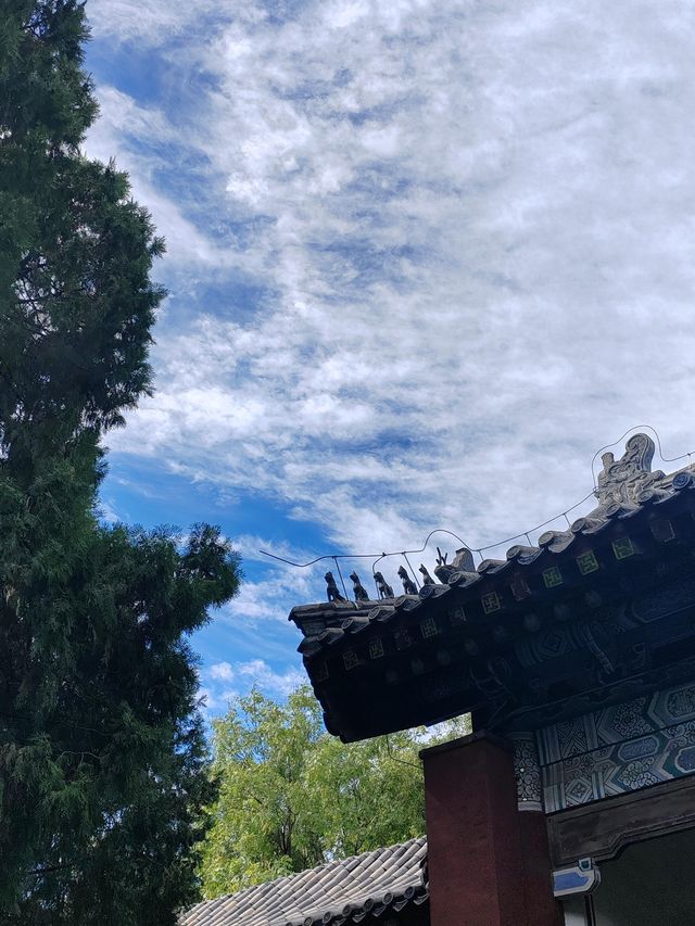 泰安必逛｜岱廟的秋，是刻在骨子裡的中式浪漫