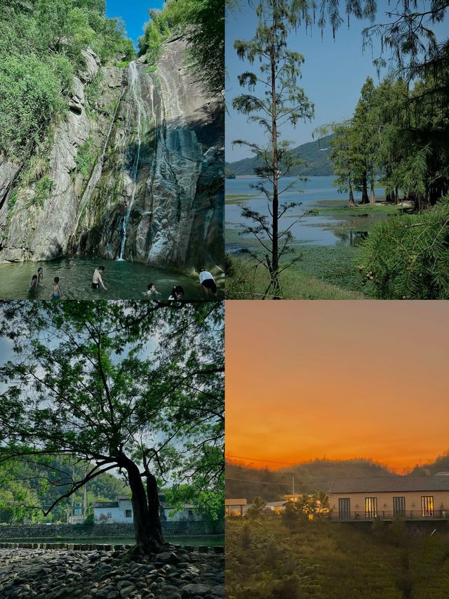 上海自駕2.5h！四明山吸氧遛娃攻略打工人週末甩開班味