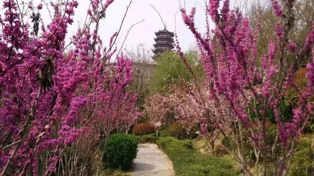 【爆款必看！陝西韓城深度攻略，讓你玩轉千年古城，感受歷史