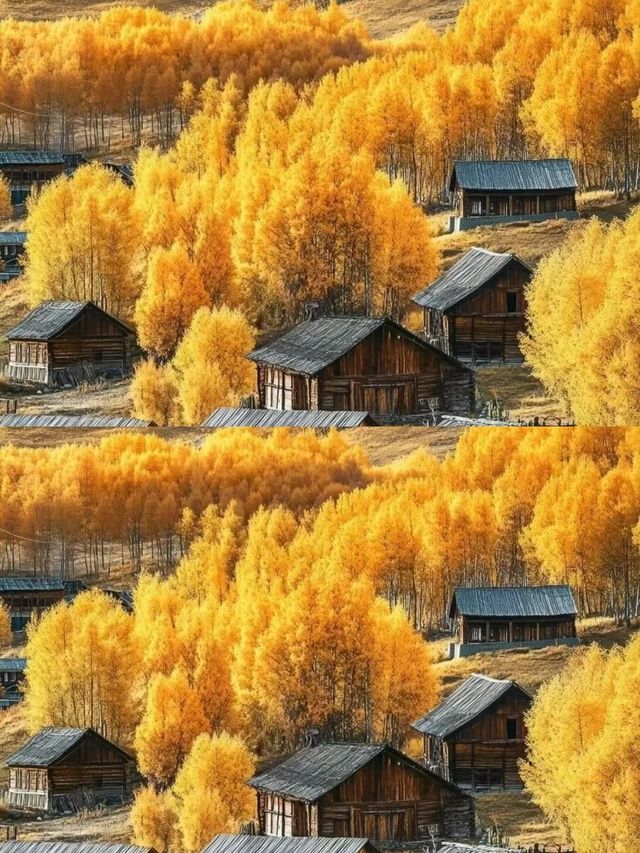 我的阿勒泰