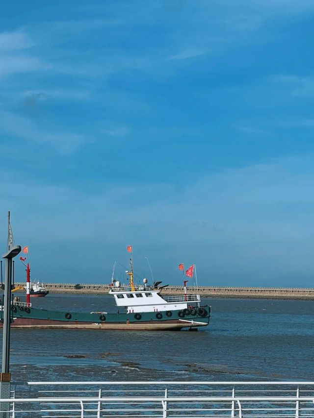 嵊泗島暴走指南！騎小電驢追風趕海日落美哭！