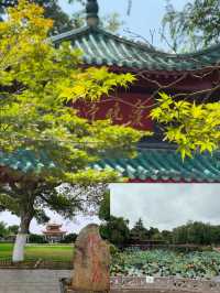 長沙橘子洲遊玩全攻略：與毛爺爺合影+避開人潮的沉浸式體驗