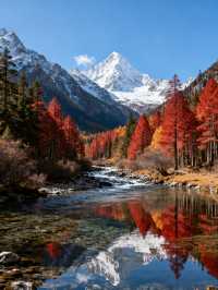 秋日避峰封神指南！4大寶藏地人均300元，雪山藍海隨手出片