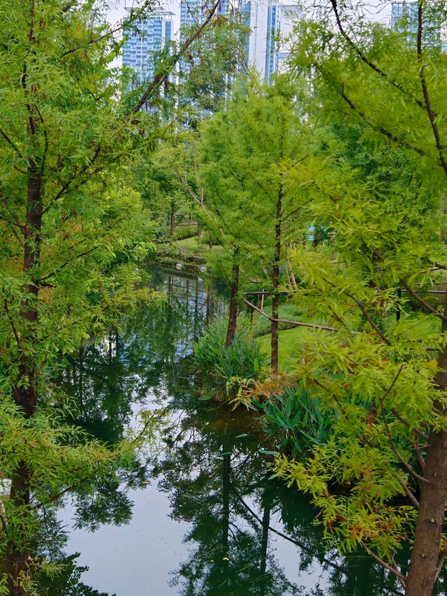 新開的公園麓野公園&仙蹤公園真的好逛~