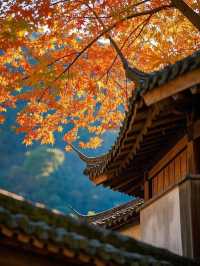 墜入秋天的童話天台山秋日漫遊指南