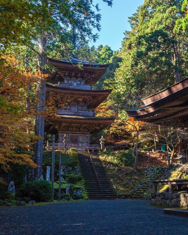 楓葉季限定福井小眾秘境·小濱八寺巡禮攻略
