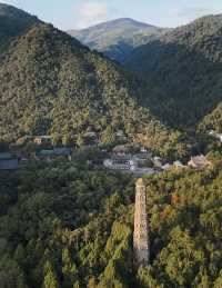 秋風微涼，稻穀滿倉：記第四次去國清寺
