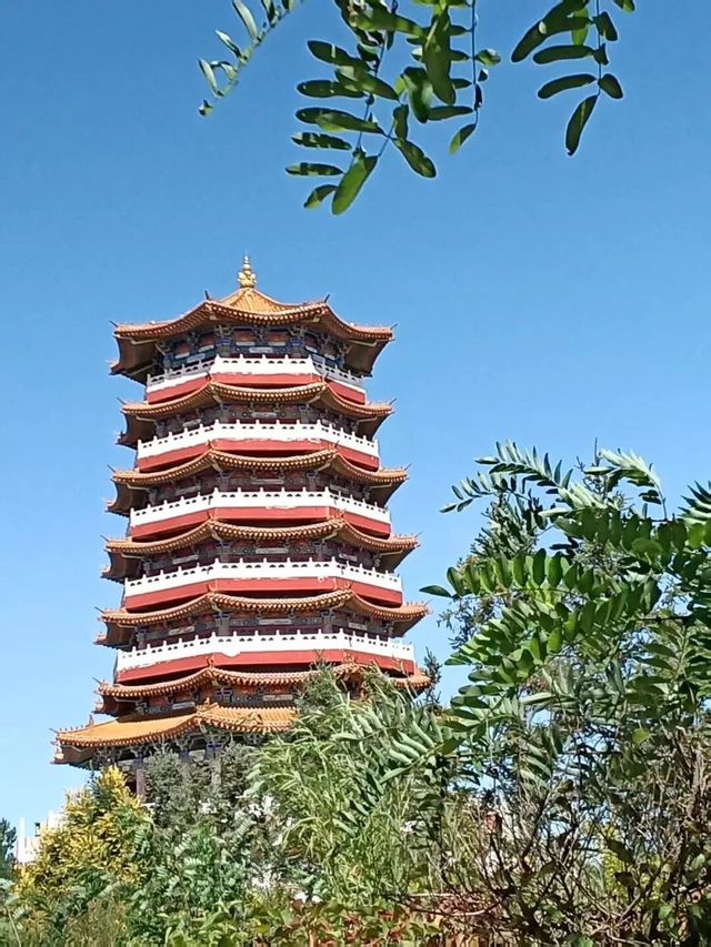 固原，一座藏着千年故事的「心靈之城」！