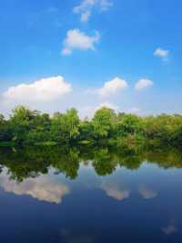 泰州溱湖濕地公園,真實體驗及攻略解析