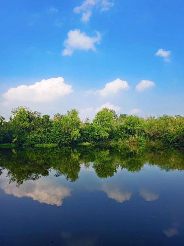 泰州溱湖濕地公園,真實體驗及攻略解析 泰州溱湖濕地公園,真實體驗及攻略解析